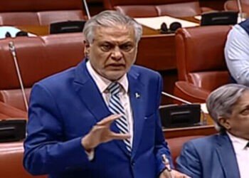 بھارت کی کسی بھی جارحیت کا بھرپور جواب دیا جائے گا، اسحاق ڈار