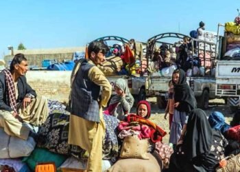 اسلام آباد: غیر قانونی افغان شہریوں کے خلاف کریک ڈاؤن،