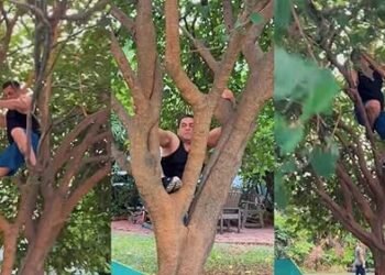 سلمان خان کی فٹنس نے مداحوں کو حیران کر دیا! 59 سال کی عمر میں درخت پر چڑھتے ہوئے ویڈیو وائرل