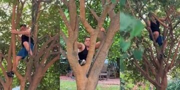 سلمان خان کی فٹنس نے مداحوں کو حیران کر دیا! 59 سال کی عمر میں درخت پر چڑھتے ہوئے ویڈیو وائرل