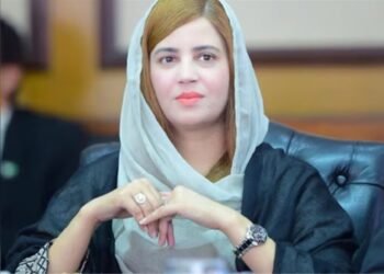 جو ہمارے ساتھ ہو رہا ہے کسی اور کیساتھ ہوتا تو بھاگ جاتا: زرتاج گل