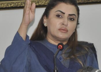 “دریائے سندھ پر نہروں کی تعمیر کی اجازت نہیں دیں گے: شازیہ مری”