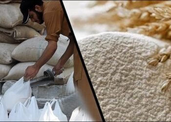 کمشنر کراچی کا بڑا فیصلہ ، آٹے کی قیمتوں میں واضح کمی، نوٹیفکیشن جاری