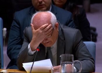 فلسطینی مندوب بچوں کی شہادت کا حال بتاتے ہوئے رو دیے