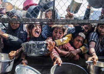 غزہ کو اسرائیل نے جان بوجھ کر قحط کی طرف دکھیلا: اقوام متحدہ