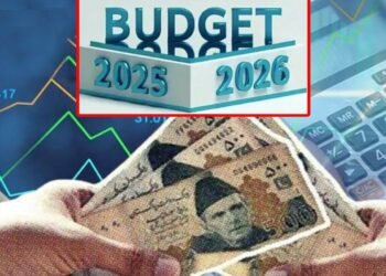 آئی ایم ایف اور پاکستان کے درمیان تنخواہ دار طبقے کیلئے ٹیکس میں نرمی پر پیشرفت