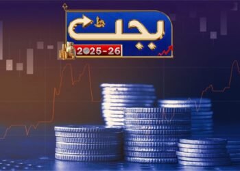 پنجاب کا 5335 ارب روپے کا عوام دوست بجٹ پیش، تنخواہوں میں 10 فیصد اضافہ، کوئی نیا ٹیکس نہیں