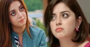 علیزے شاہ کے پراسرار شخص کے ساتھ تعلقات، مداحوں میں تجسس