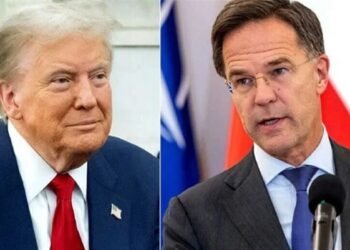 ٹرمپ کو ’ڈیڈی‘ کہنے پر نیٹو چیف مارک روٹے کو شدید تنقید کا سامنا،