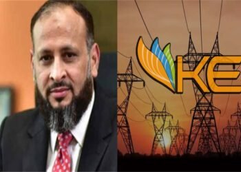 سندھ اسمبلی کی برہمی کے بعد کےالیکٹرک سی ای او نے سیاسی جماعتوں سے تعاون کا اعلان کر دیا