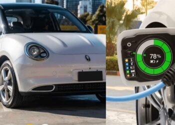 حکومت نےرکشے ختم کرکے الیکٹرک کاریں چلانے کا فیصلہ کردیا