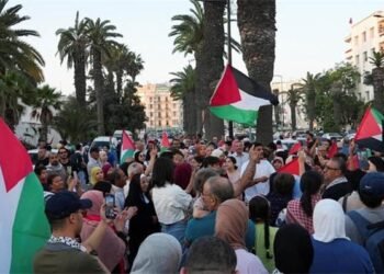 غزہ مارچ سے قبل بڑا کریک ڈاؤن! مصر نے 200 سے زائد غیر ملکی کارکنان کو گرفتار کر لیا