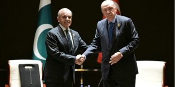 مشکل گھڑی میں ترک حکومت اور عوام پاکستان کے ساتھ ہیں، ترک صدر کی وزیراعظم سے ملاقات