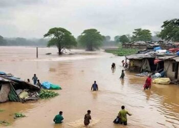 پنجاب میں سیلاب سے 97 افراد جاں بحق، 2300 سے زائد دیہات متاثر، سرکاری رپورٹ جاری