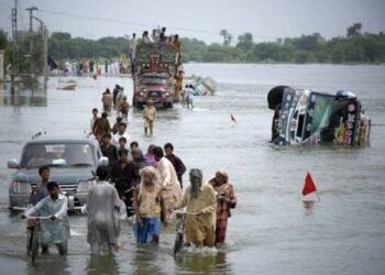 ملک بھر میں بارشوں اور سیلاب سے سینکڑوں جانیں ضائع، نقصانات میں مسلسل اضافہ: این ڈی ایم اے