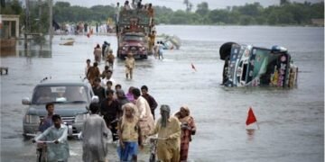 ملک بھر میں بارشوں اور سیلاب سے سینکڑوں جانیں ضائع، نقصانات میں مسلسل اضافہ: این ڈی ایم اے