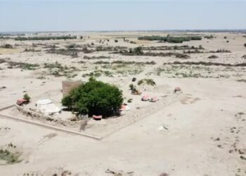 سندھ کابینہ نے کچے کے علاقوں میں ترقی کے لیے ڈاکوؤں کے ہتھیار ڈالنے کی پالیسی منظور کر لی