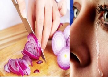 بغیر آنسو بہائے پیاز کاٹنے کا آسان طریقہ دریافت