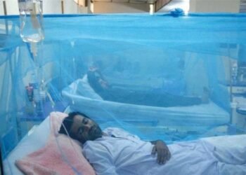 اندرون سندھ اور حیدرآباد میں ڈینگی اور ملیریا کے کیسز میں تشویشناک اضافہ