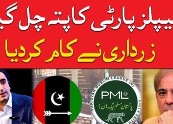 پیپلز پارٹی اور نواز لیگ کے درمیان لفظی جنگ، آصف زرداری میدان میں آگیا