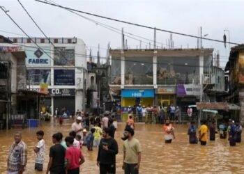 سری لنکا میں تباہی کے بعد سمندری طوفان دتوا بھارت کی طرف بڑھ گیا