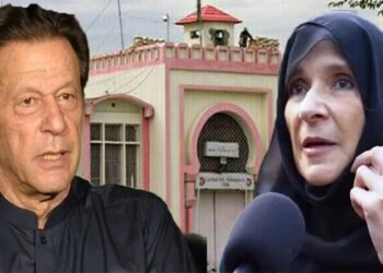 بانی پی ٹی آئی کی صحت بالکل ٹھیک ہے، عظمیٰ خان