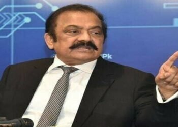 ایک ملاقات میں جنرل باجوہ نے فیض حمید سے کہا رانا بہت موٹا ہو گیا ہے: رانا ثنا اللہ