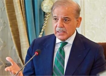 افغان طالبان اور ٹی ٹی پی کے گٹھ جوڑ کے ٹھوس ثبوت موجود ہیں: وزیراعظم