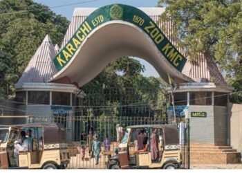 کراچی: اسپیشل بچوں کے لیے چڑیا گھر میں داخلہ فیس ختم