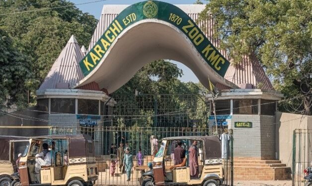 کراچی: اسپیشل بچوں کے لیے چڑیا گھر میں داخلہ فیس ختم