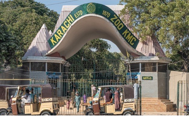 کراچی: اسپیشل بچوں کے لیے چڑیا گھر میں داخلہ فیس ختم