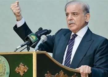 بھارت جس زبان میں بات کرے گا، اسی میں جواب دیا جائے گا: وزیراعظم شہباز شریف